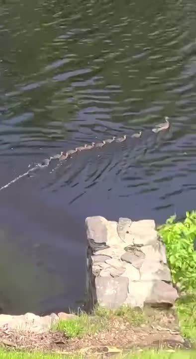 ������������� ������� � ����������� ������