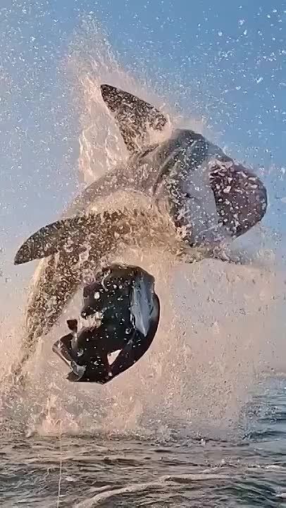 ������� ����� ����� �� ����� ����� ����� ����������� �� ���� �� ��������� ������