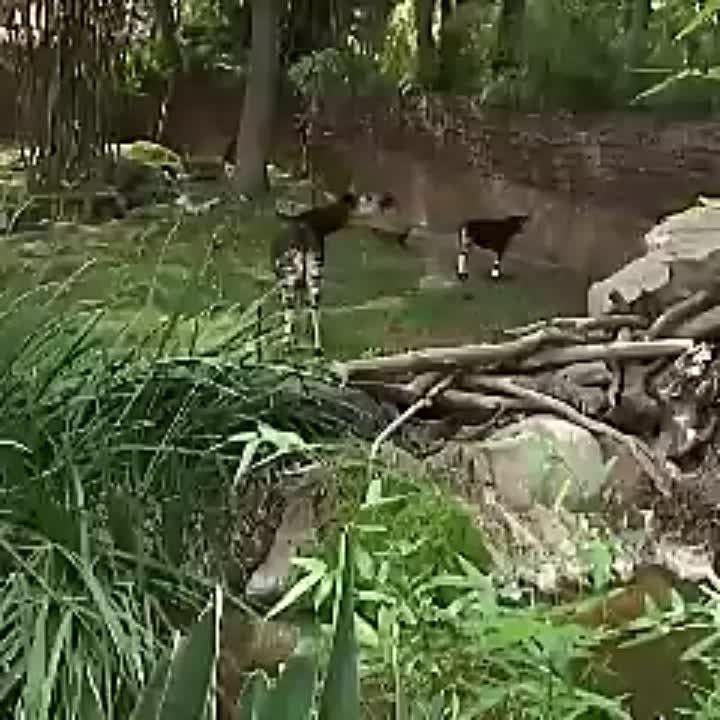 ����� �� ����� �������, ��� ������� ���-�� ���������� ���������� ������, ���������� �����, � ������ ����� ��������� � ���������