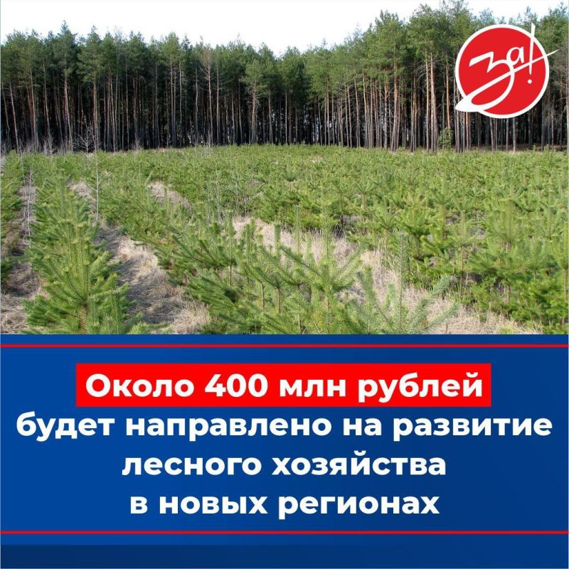 �� �������� ������� ��������� � ����� �������� �������� ����� 400 ��� ������ � 2024 ����
