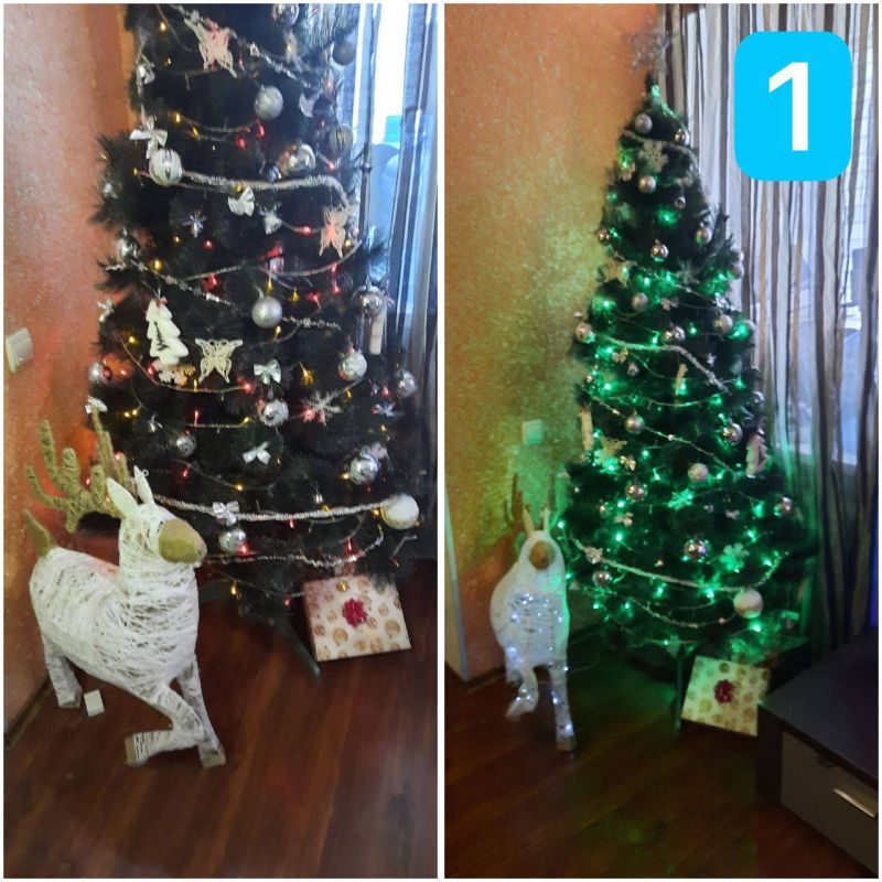 �� �������� ����������� ��������� �������� ������������ ���� 2024�