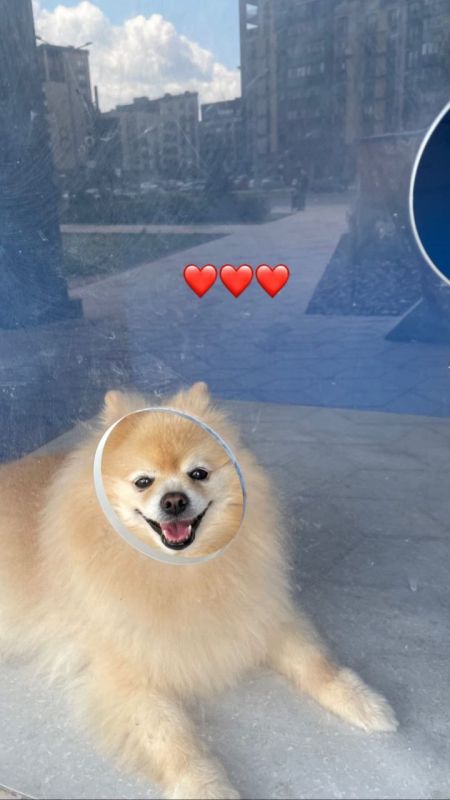 � �������� �������� ������ �����������: ����� �������� ��������� ��������� ��� �����, ����� ������� �� ����������� �� ����� �������
