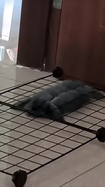 ����� ����� �� �� �����