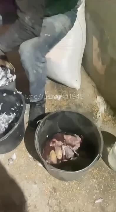 � ������� ��� ��� ������ ��� � ��� ������ �������� �������)