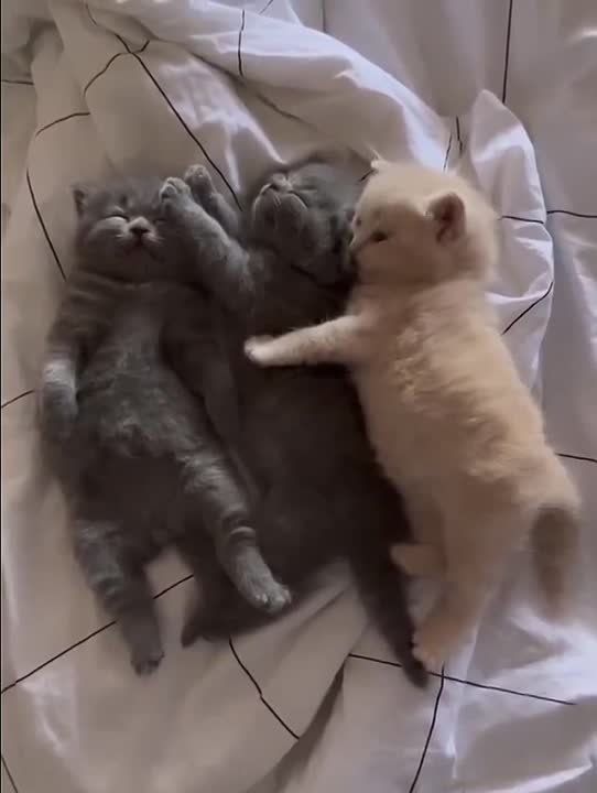 ������ ����!