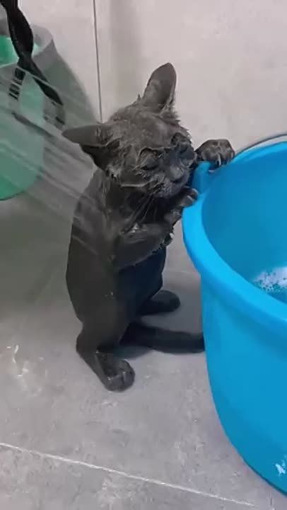 ������ ����, ������� ������!