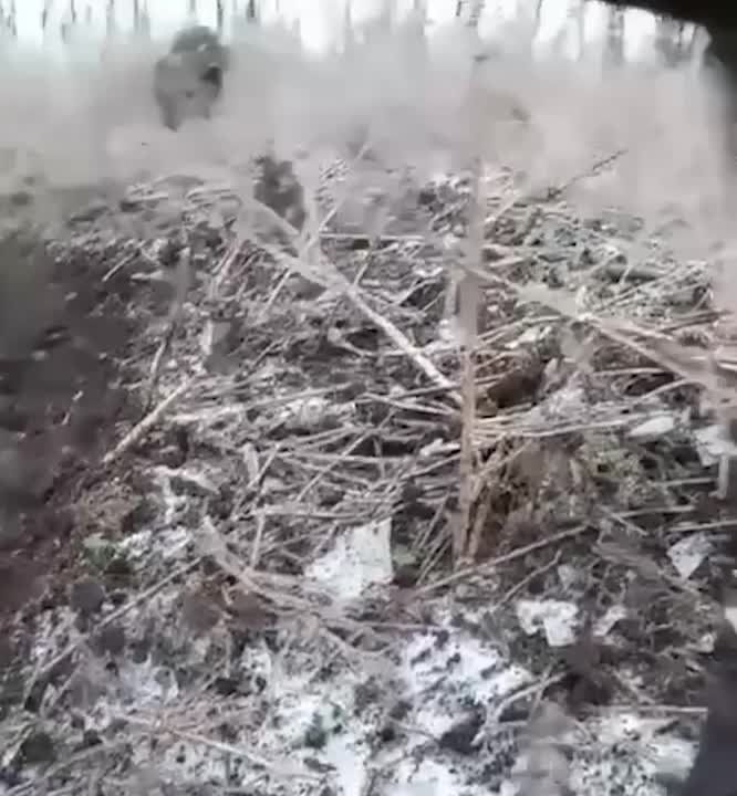 ���������� ���������� ������� �������� ������� ������� ��� � ������-������ �� ����������