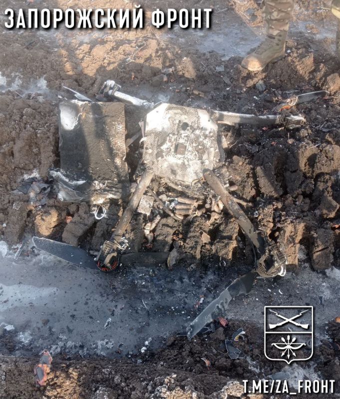 ����� �����: ����������� 429 ��������������� ����� �� ����������� �����������, � ������� ����������� ������ ����������� �������������, ��� ���� ��������� ����-�������������� "���� ���"