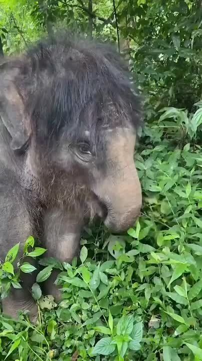 �������� ���������� ����� ����� ���������� ������� ����������