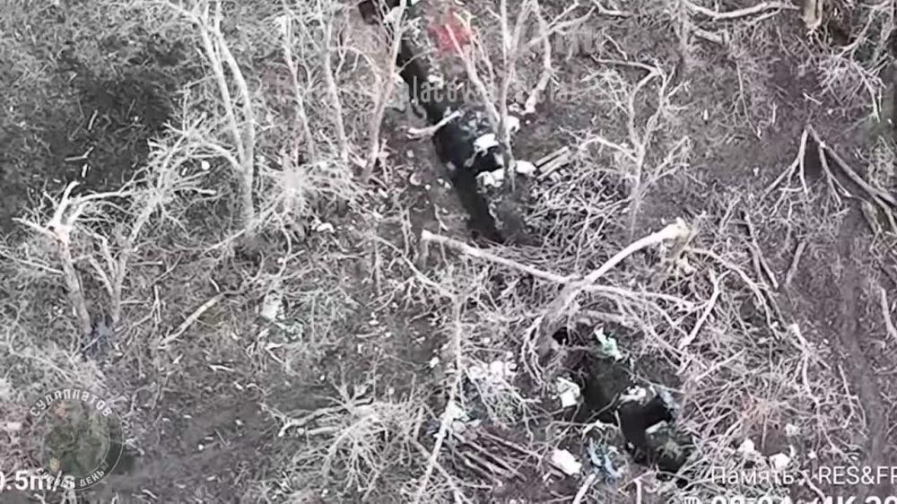 FPV ������� ���������� ���������� ����� �������-��������� "��-40"
