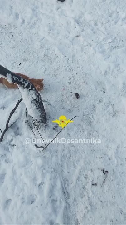 ���������� ����� ������ ����� �������������� �������