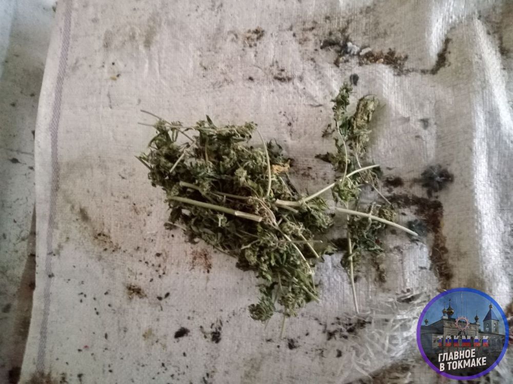 � 46-������� ������ ������������ ����� ��������, ������� �� �������