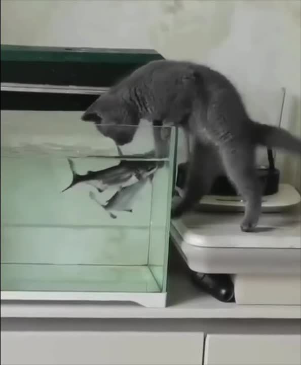 ����� �� ��������. �������������� ��