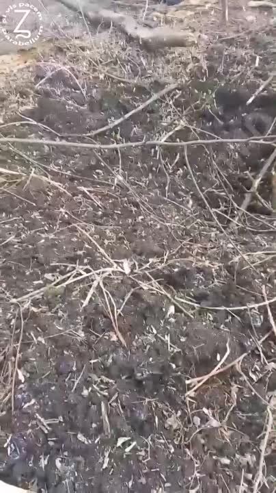 ����� �����: ���� �� ���������� ���������� ������������, �����, �����, ��� � �������������