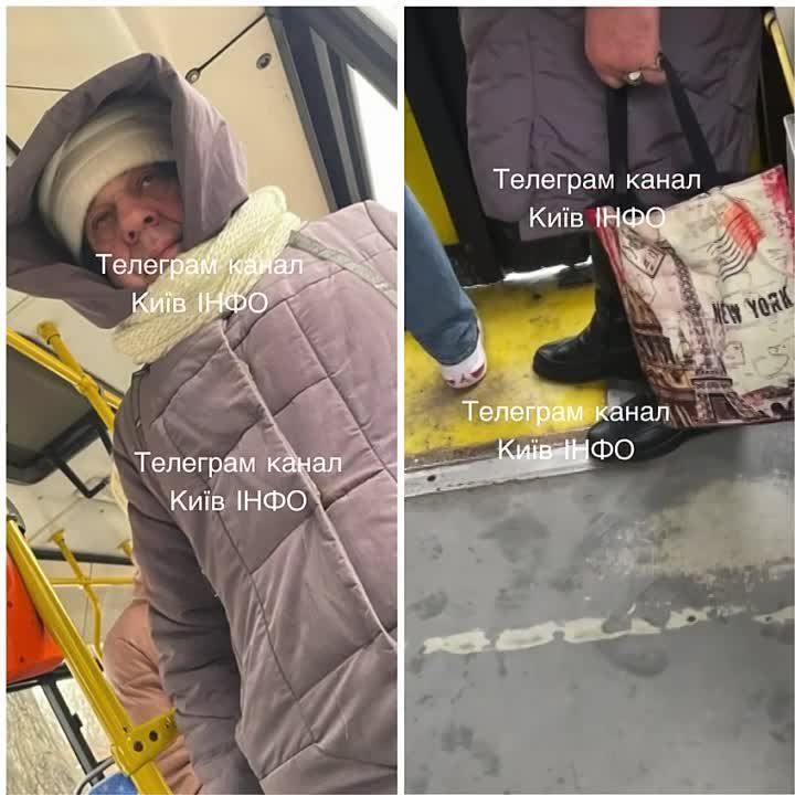 ���������� � �������� �����������