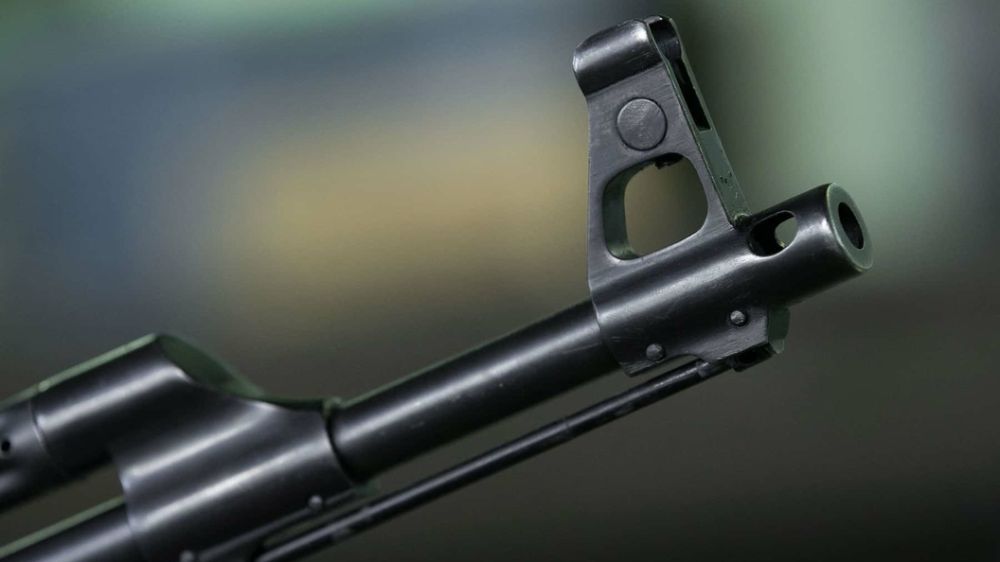 "Вы очень наивны": Чеченцы угодили в "беспредел в зоне СВО" - военкор Коц высказался до Кадырова