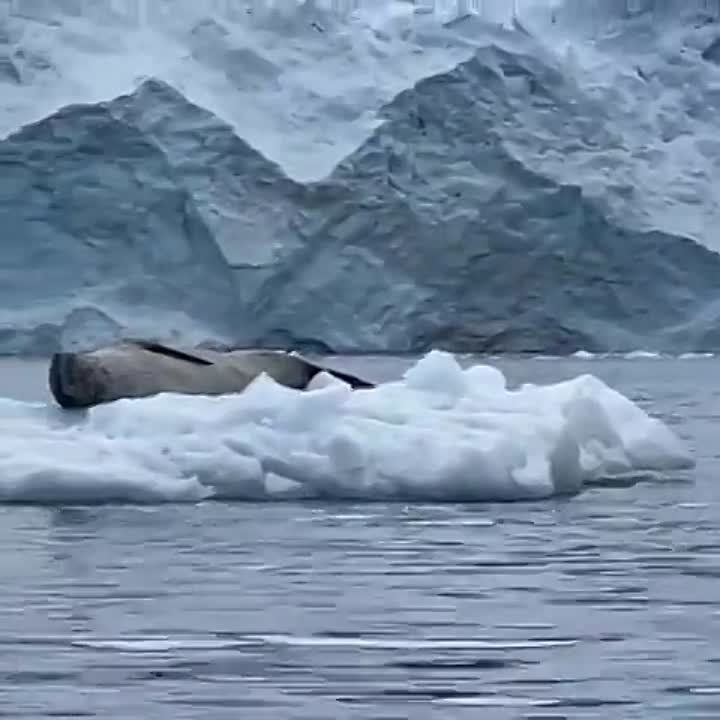 ����� �������� ����� �� � �� �����