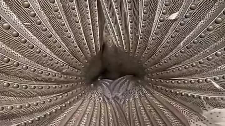 ��� ������ ����������, ��� ������� ����� ����