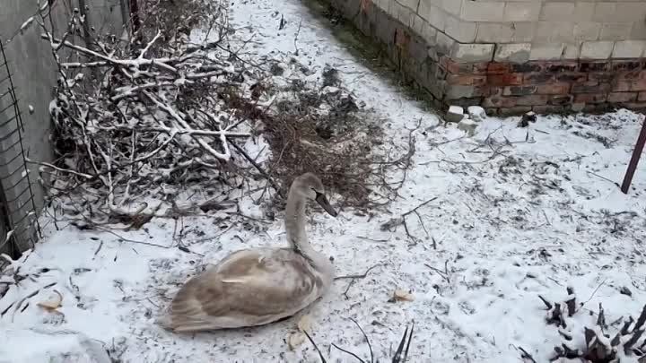 ���������� ������-����������� ������������� ������������� ������ ��������� � ��� ������ ������ �������� ������ �� ������