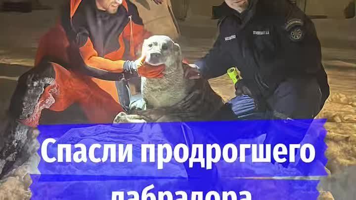 ��������� ������� ������ �� ���������������� ������� � �����