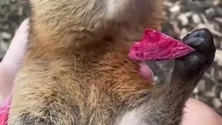 ������. ��� ����� ����������� �� ����� ���� ��������� ����� ������������� ������