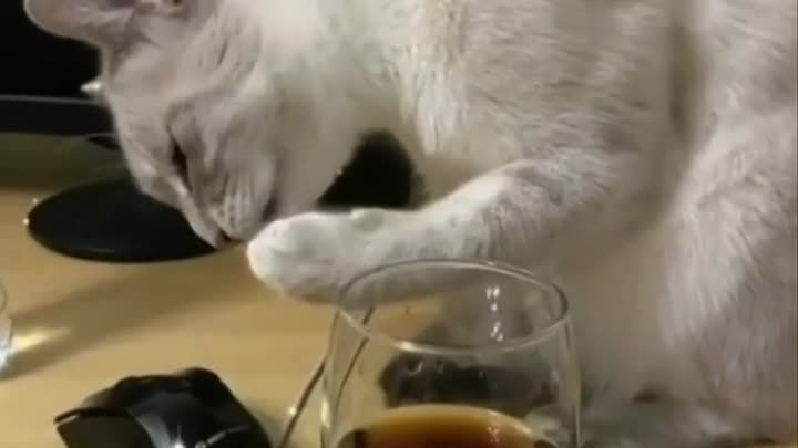 ���-����� � ���� � �����