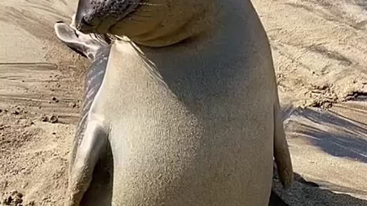 ������ ����, ������!. �����������, ��� � �������� �� ������� ������ ���! �������������� ��