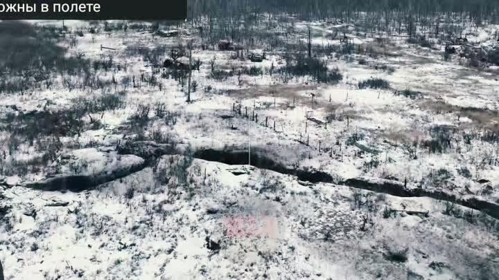 ����� ������ � ��������� ������ ���������� ����������� ����� �������� ��������