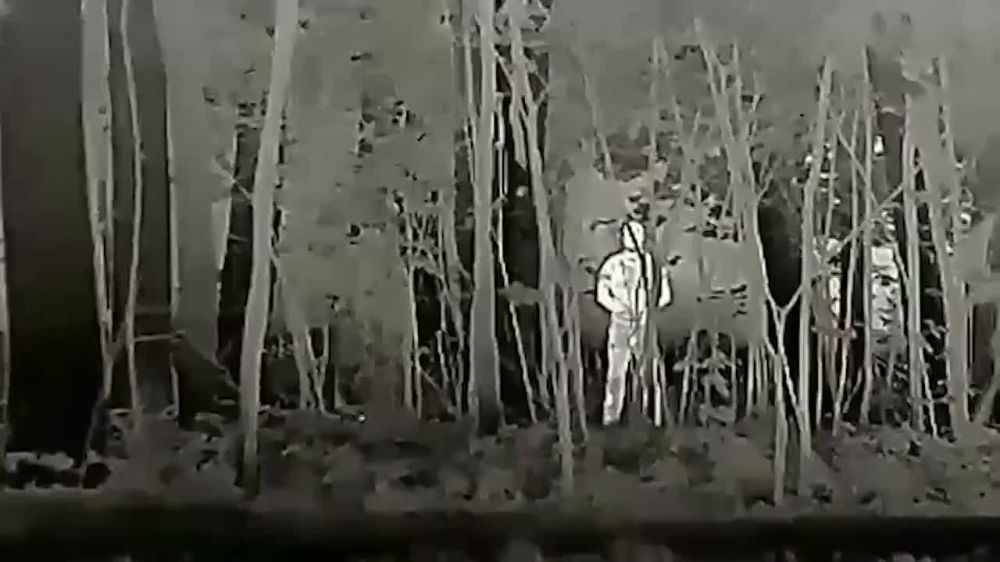 ���������� ������������ ����������� ��� ����� ������ "����-���������" ����� ������������� ������ ������ �������������� ��������� ���������� ��� ��������� ������ � �������������
