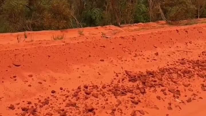 ��������� �� ��������� ��������!