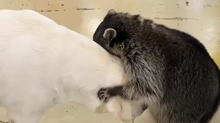 ������ ����, ������! �������� ��� ��� � ��������� ����������!