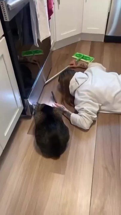 ������ � ��� ����� � ��� ���� ���� ����� ��� ������� � ���� ��� �������������