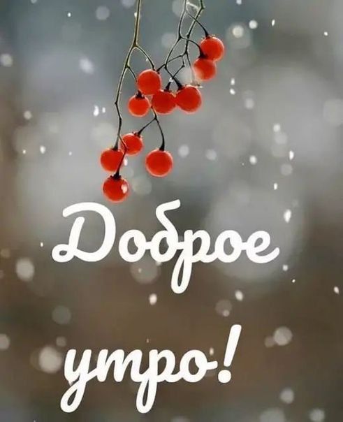 ������ ��������� ���������� ����� ������������� ������