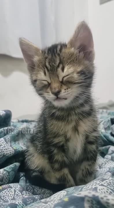 � ������ �����