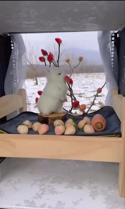 ������ ����, ������!. ���������� � ������ �� ������! �������������� ��