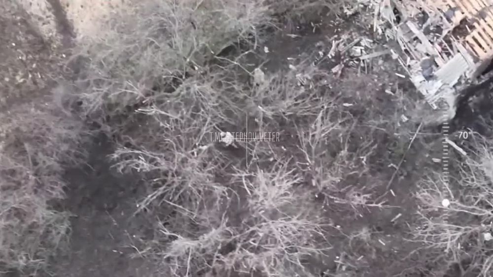 ���������! ����� FPV-������ � ���������� ������ �� �������� � ������� � �� ������� �� �������� �����������