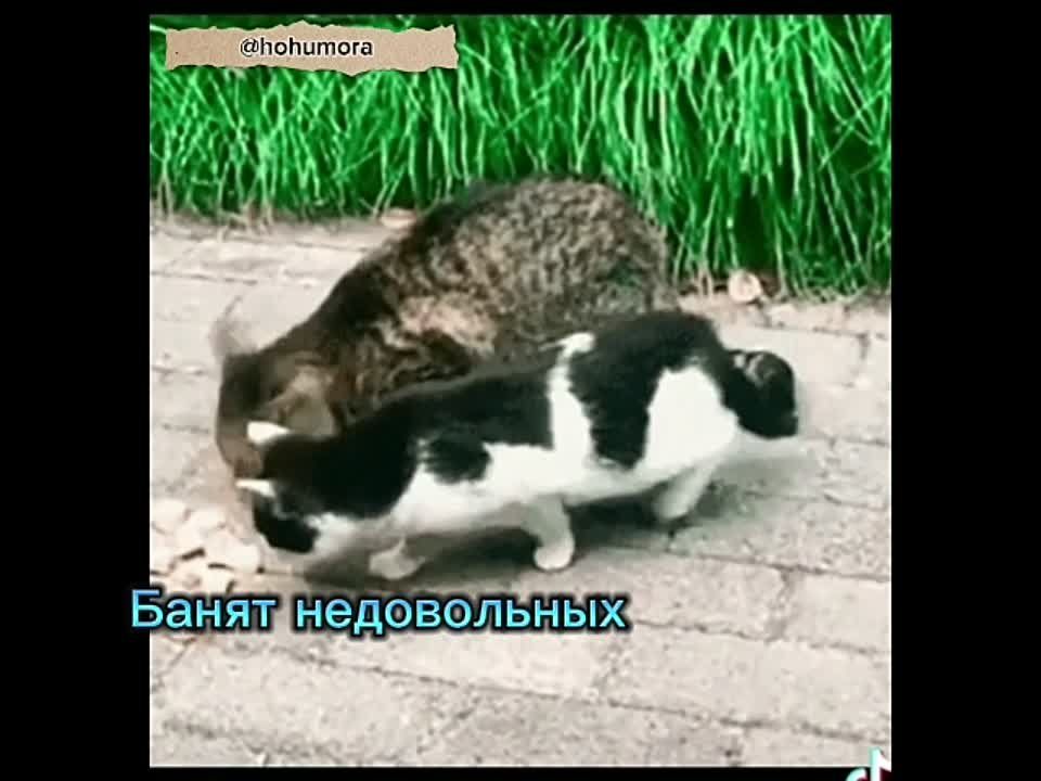 ���������� � ������������� ������� �����