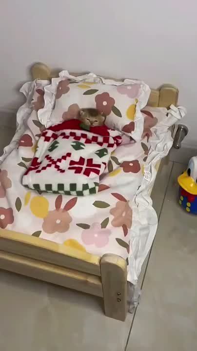 ��������� ����!