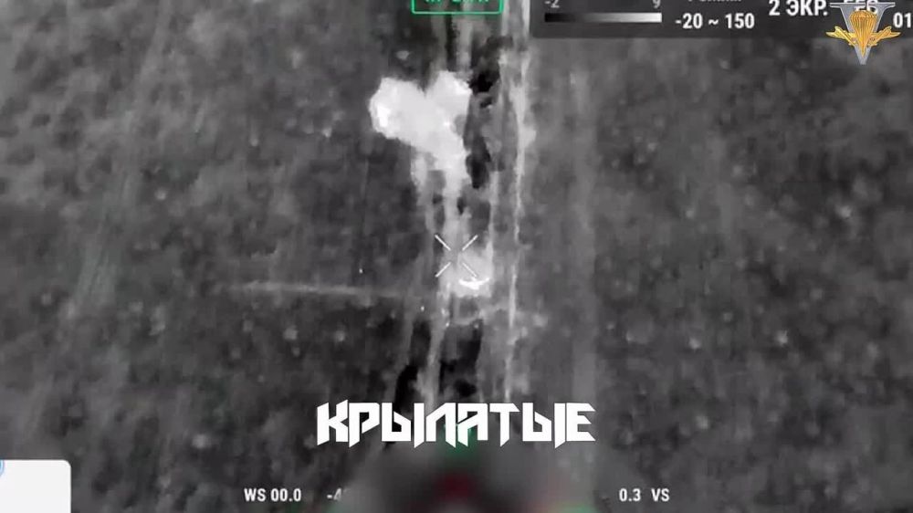 ����� �����: ����������� �����������