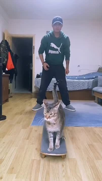 ����� �� �����. �������������� ��