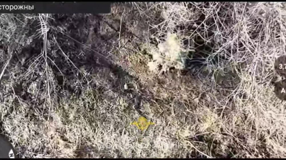���������� ���������� ���������� ������