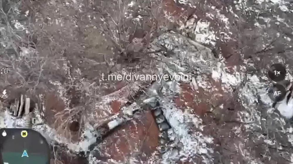 ����� �����: ���� ��������� ���� ���������� ������� ���� �� ����������� �����������