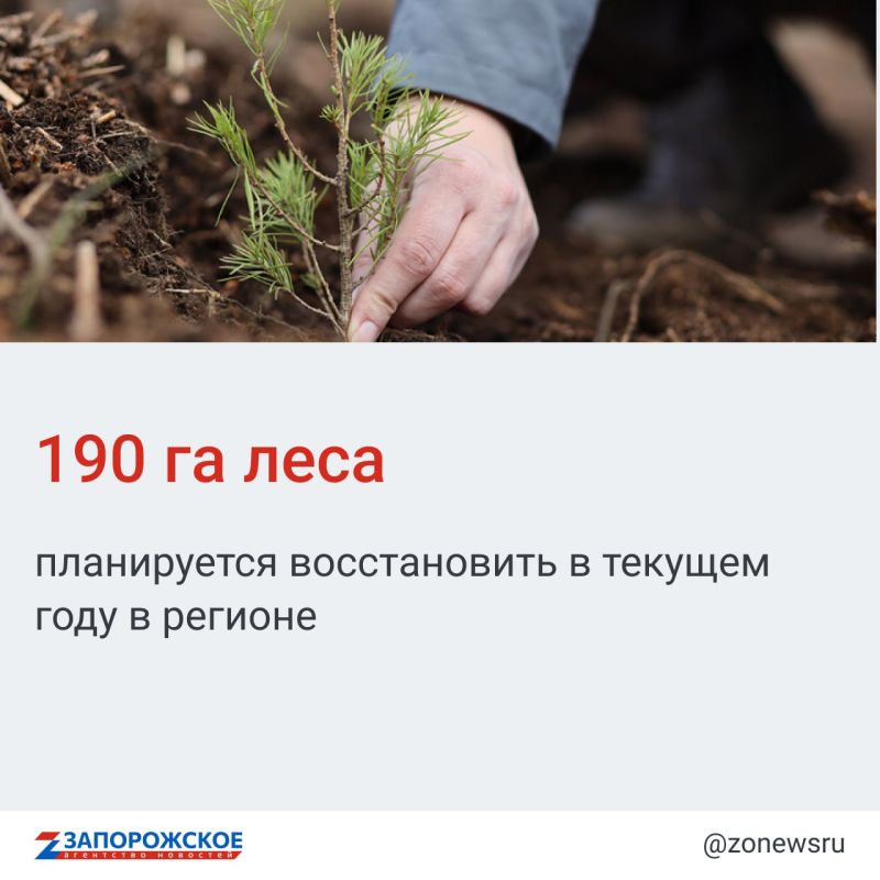 ���������� � 2024 ���� ��������� ������������ 190 �� ���� ����������� �������
