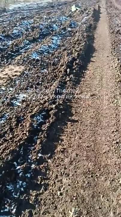 ����� "������ ������" � ������������������ ���������� ������������� �� ����������� �����������