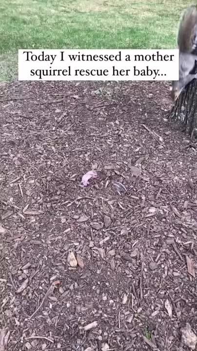 �� ������� ������� ����� ��������� ���������