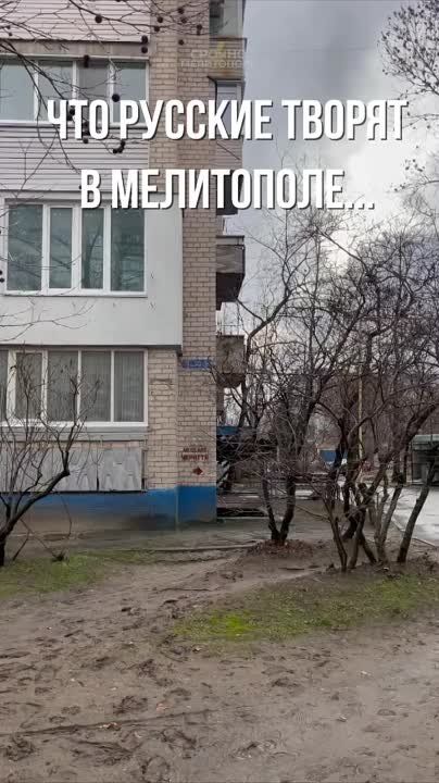 � �� ��������, ��� � ������ �������� �������� � ���������� ����?