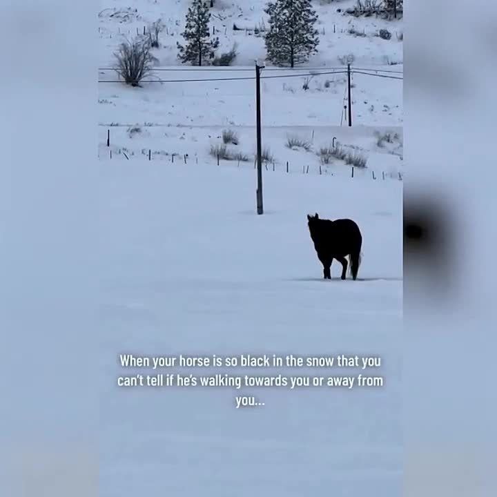 � ���� ��������� ���������� ������� � �����