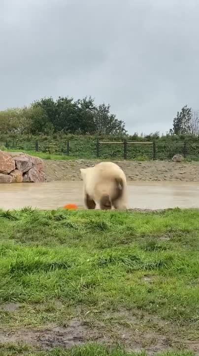 ���������� ����� ����� ���������� ����, ����� ��������� ������� ����� � �������