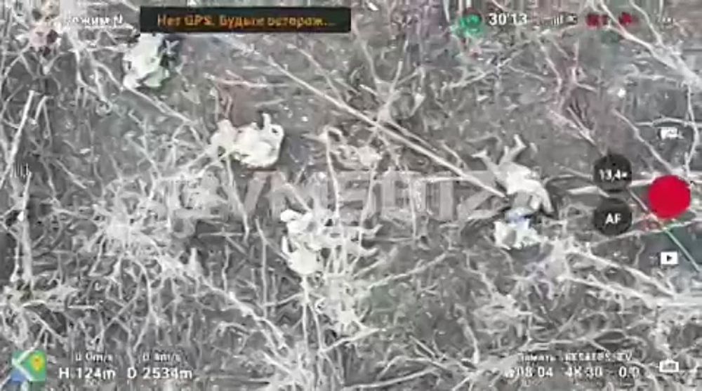 ���� ����� �������� ����� ��� � ����������� �������