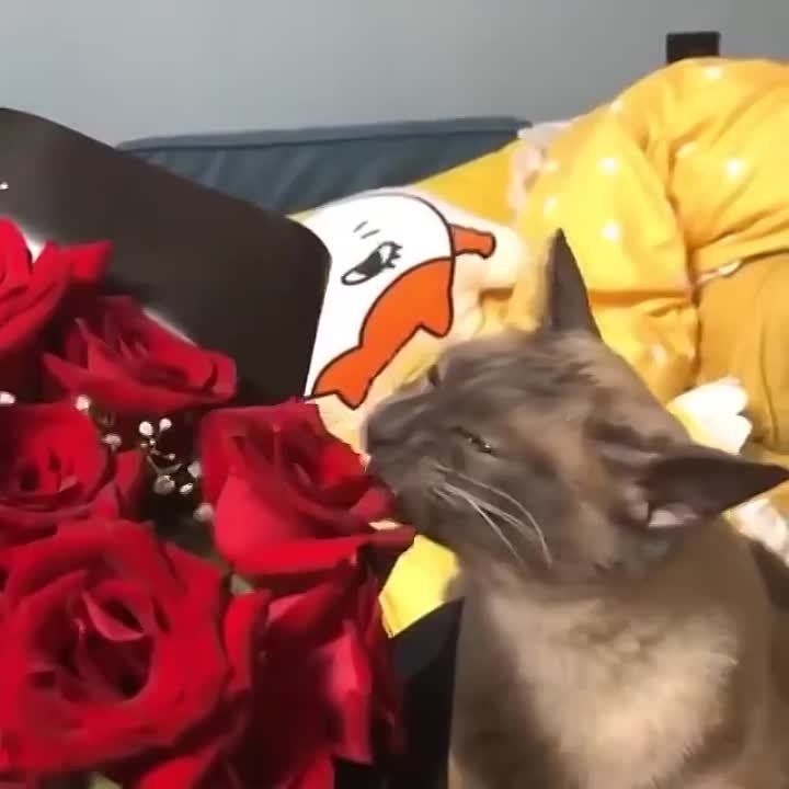 �� ��, ����� �� ����� ������, �� �� ���� ������